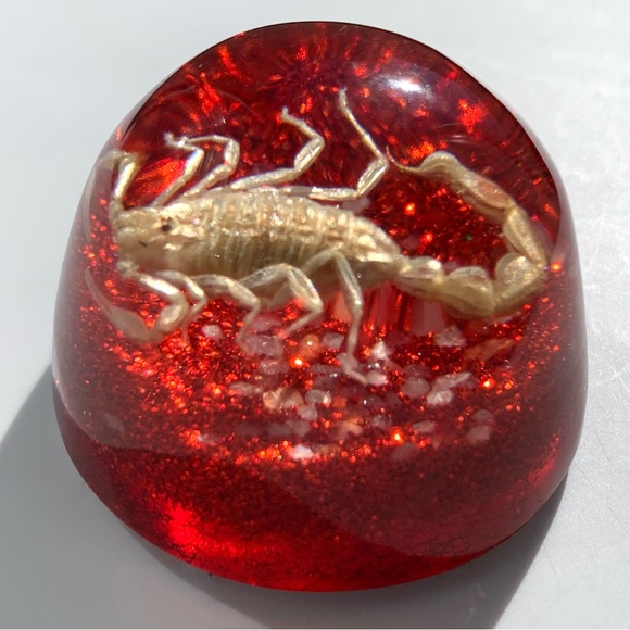 Scorpion Paperweight Acrylic Resin Dome Red Base with Glitter Felt Bottom - Picture 8 of 14